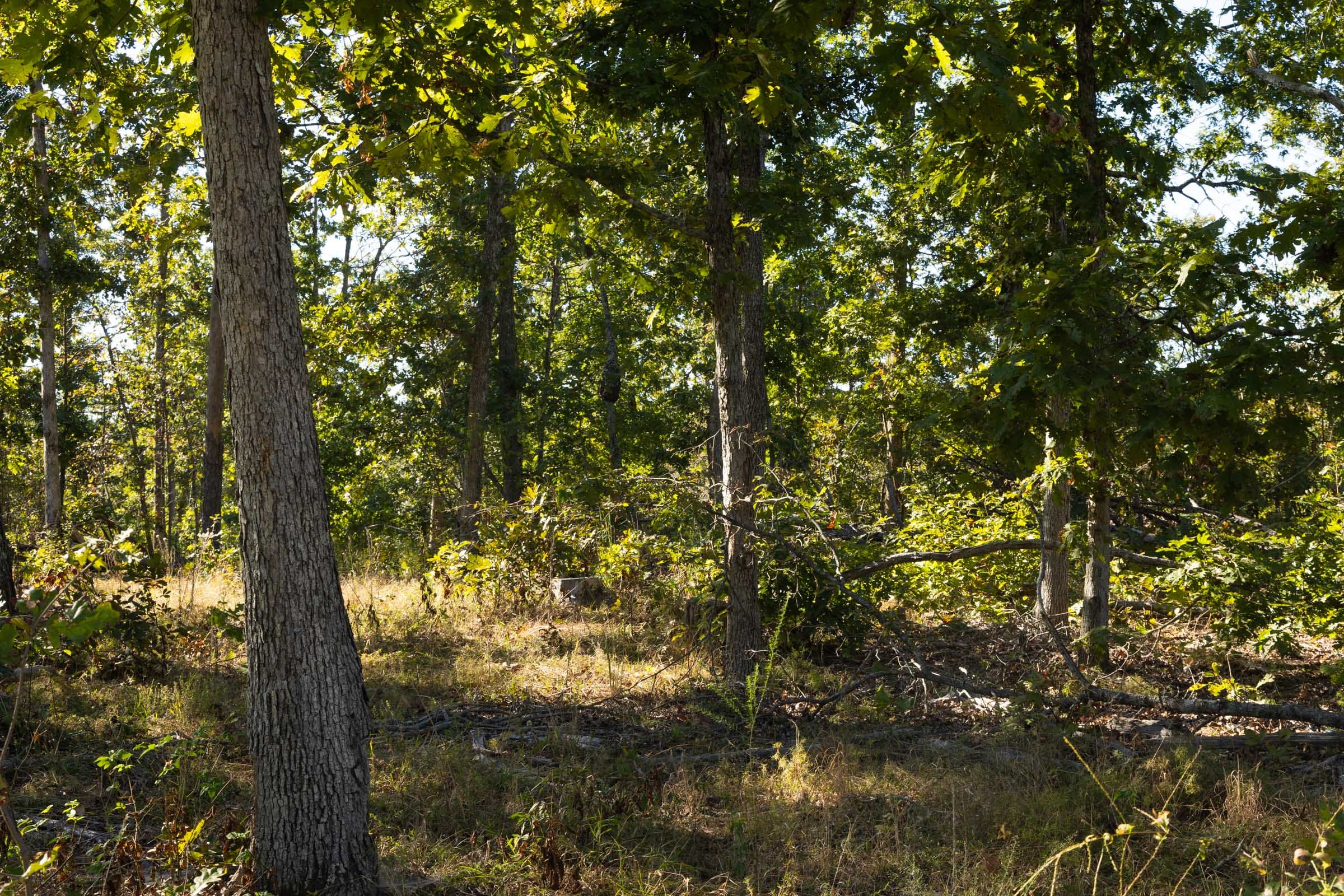 Fox Hollow photo 14