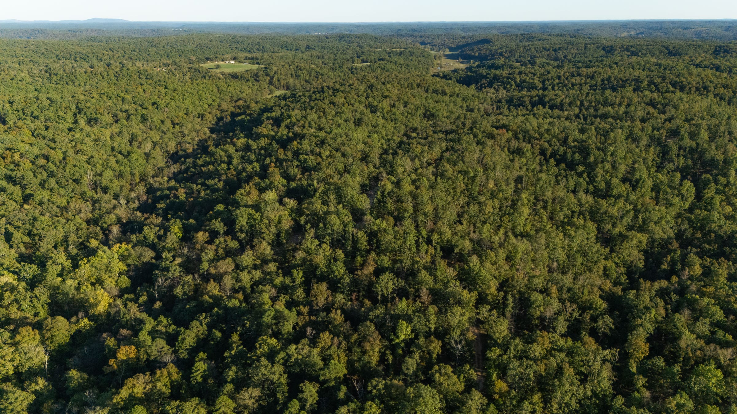 Fox Hollow photo 1