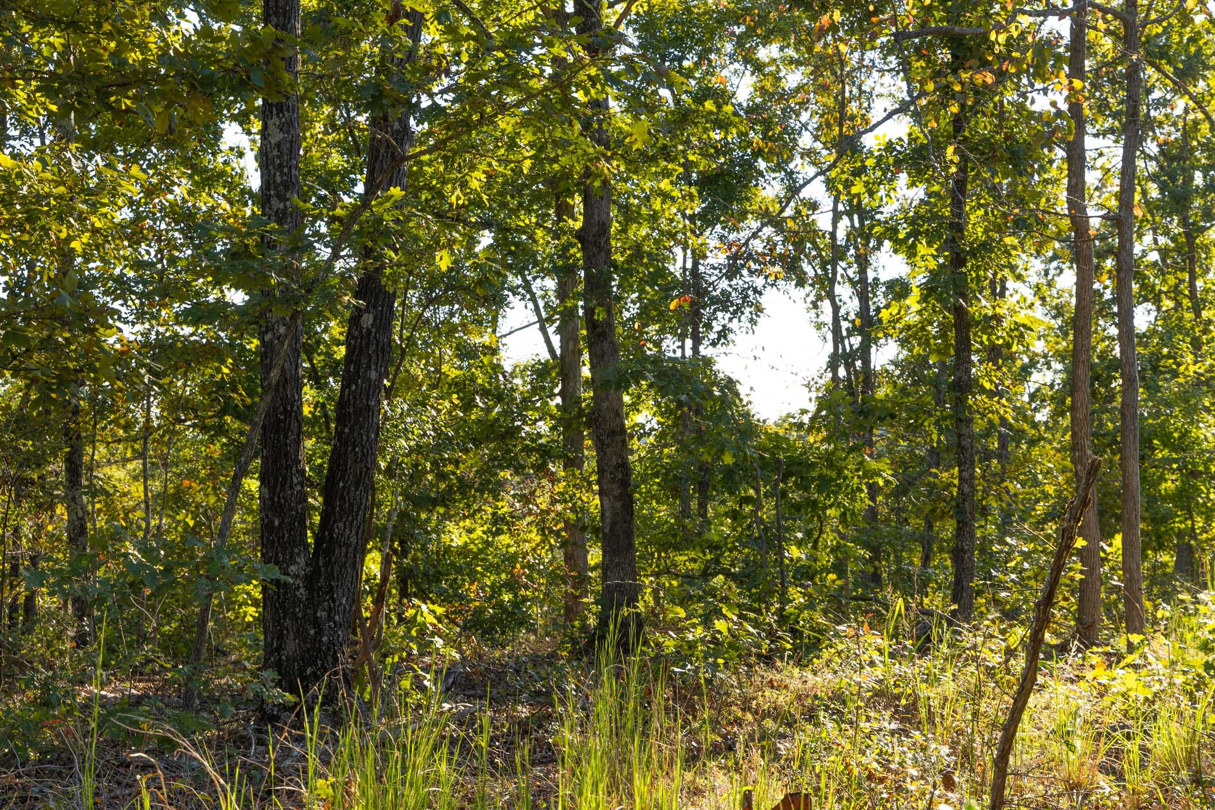 Fox Hollow photo 10