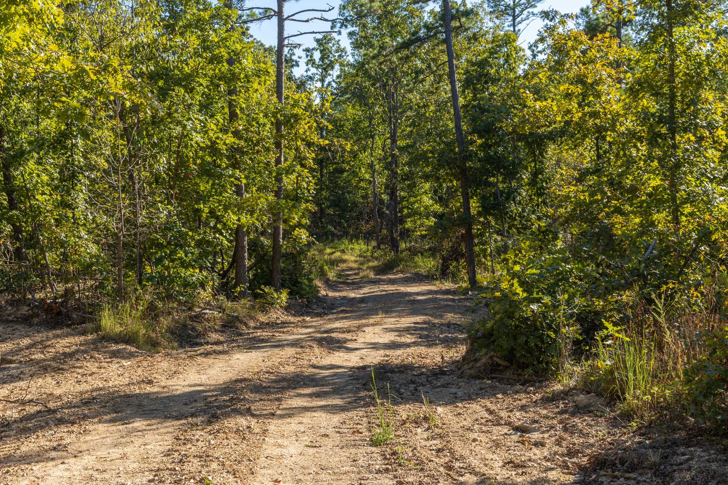 Fox Hollow photo 12