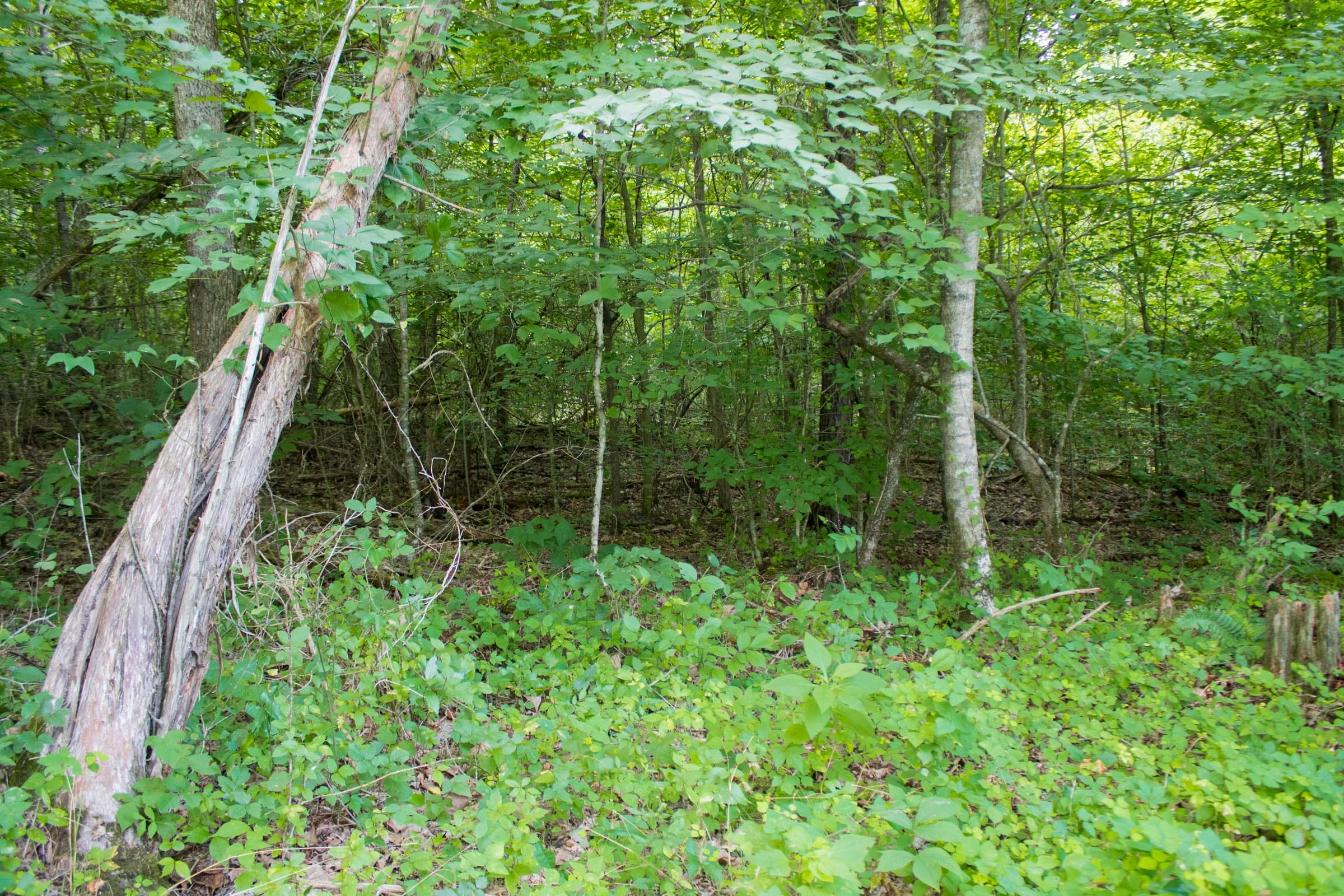 Bluewater Ridge photo 18