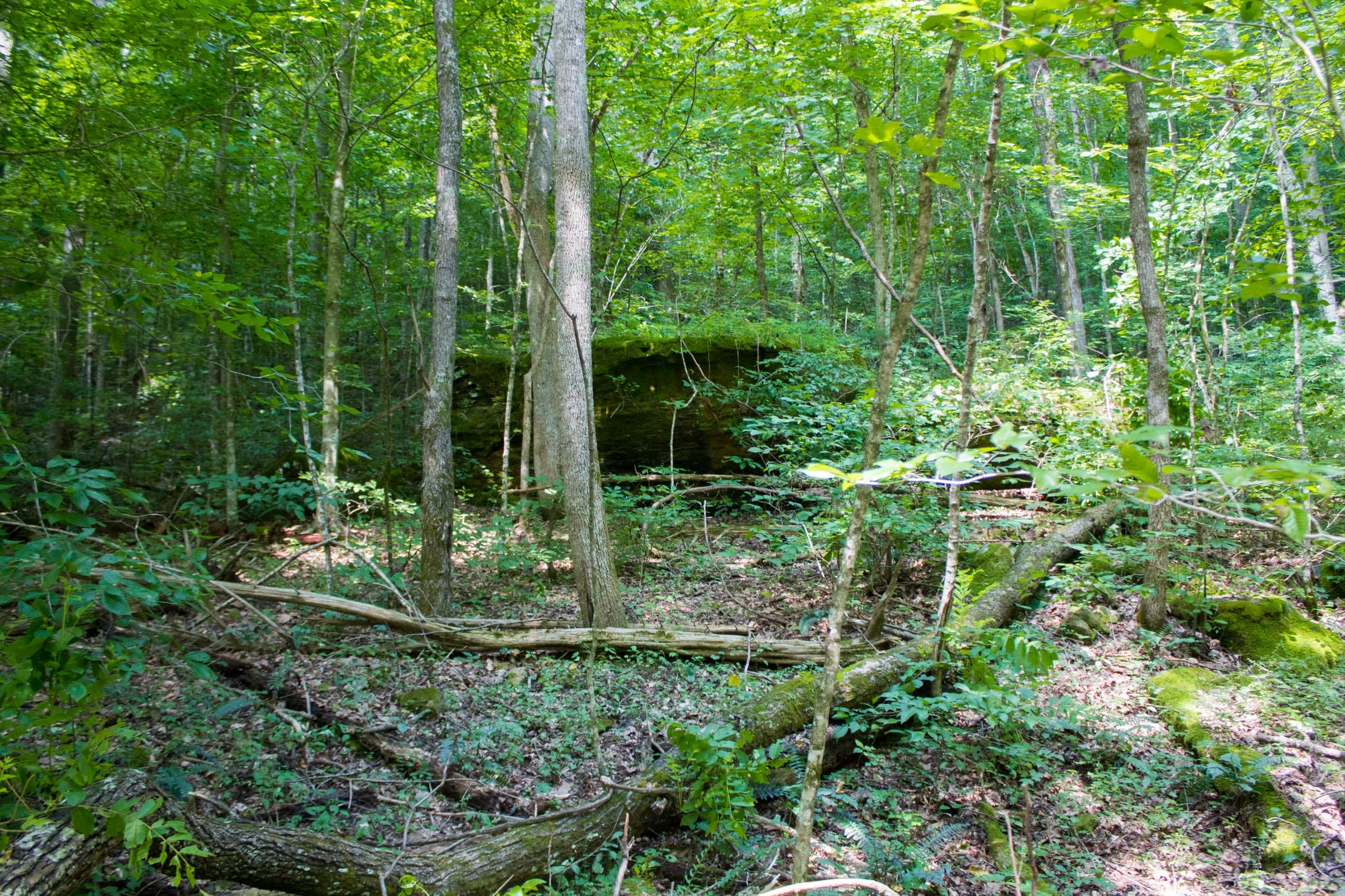 Bluewater Ridge photo 13