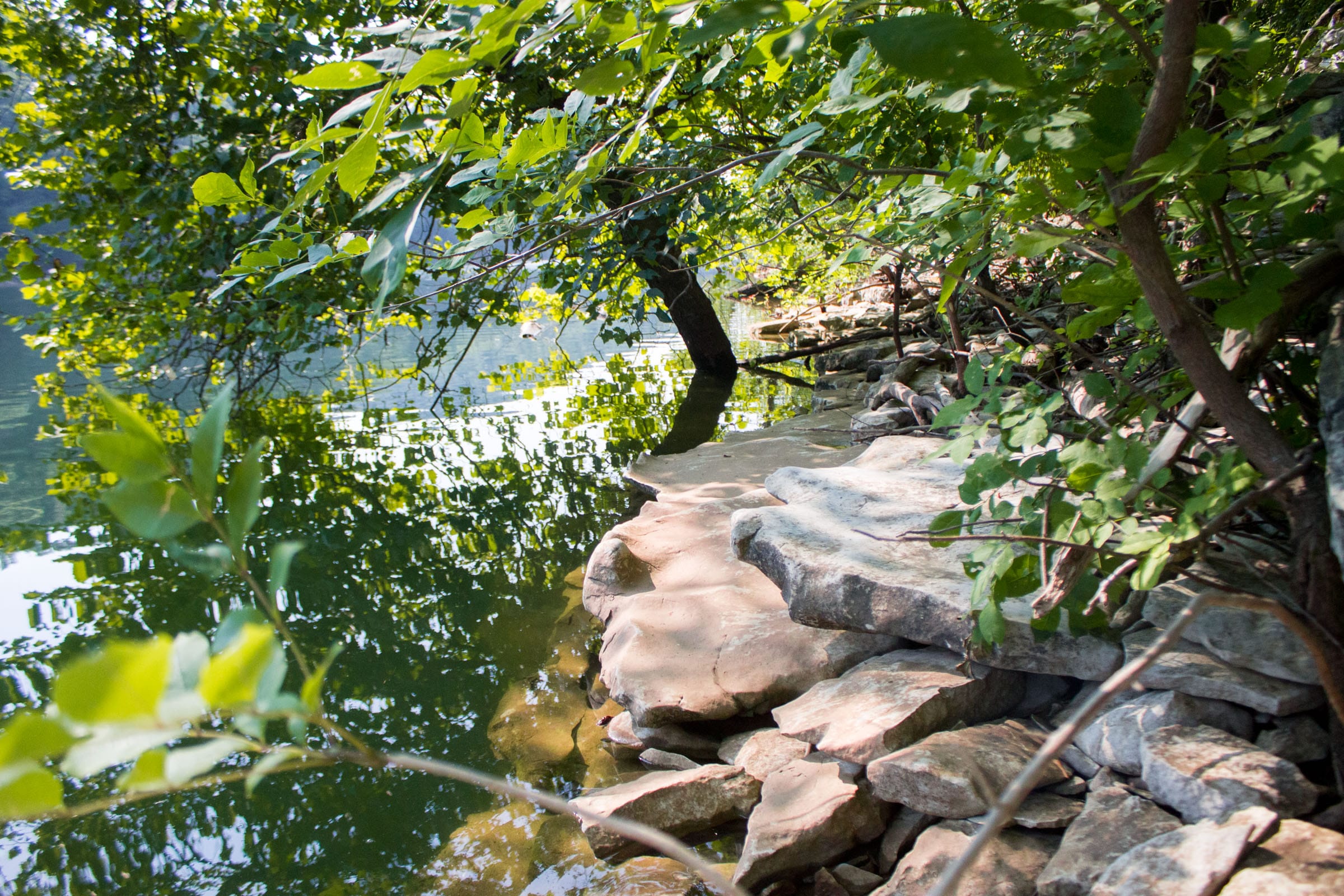 Bluewater Ridge photo 8