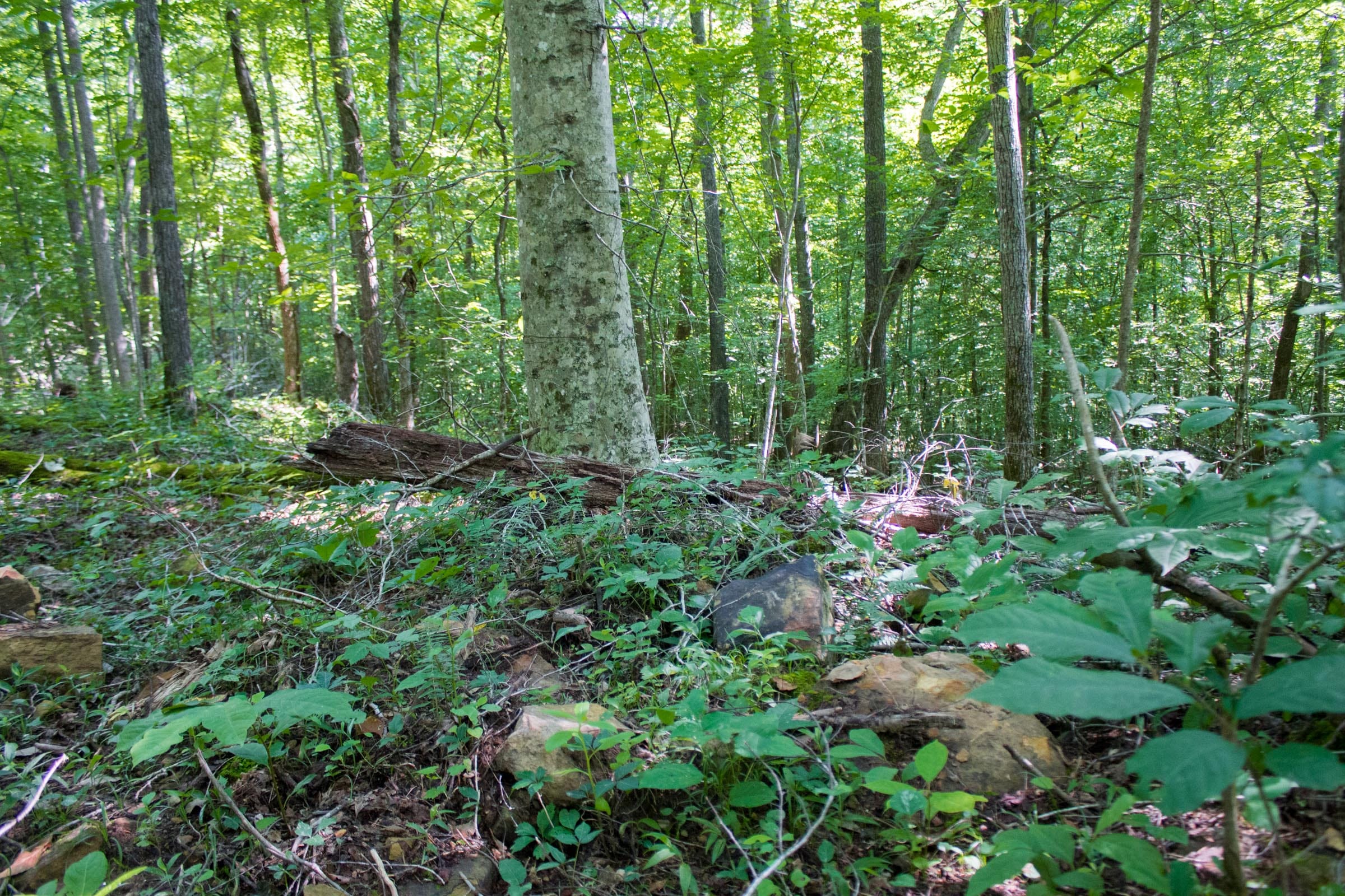 Bluewater Ridge photo 12