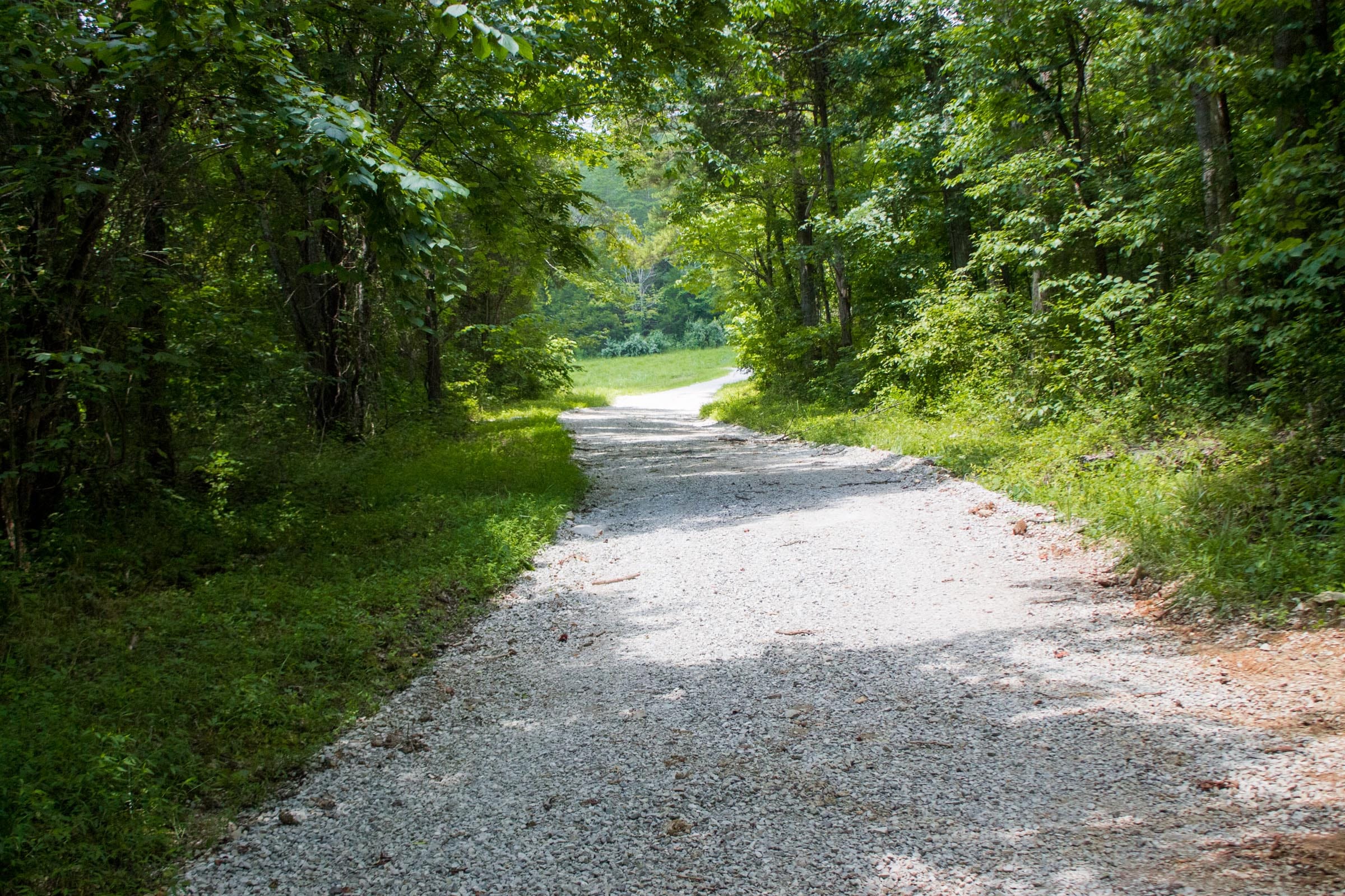 Bluewater Ridge photo 17