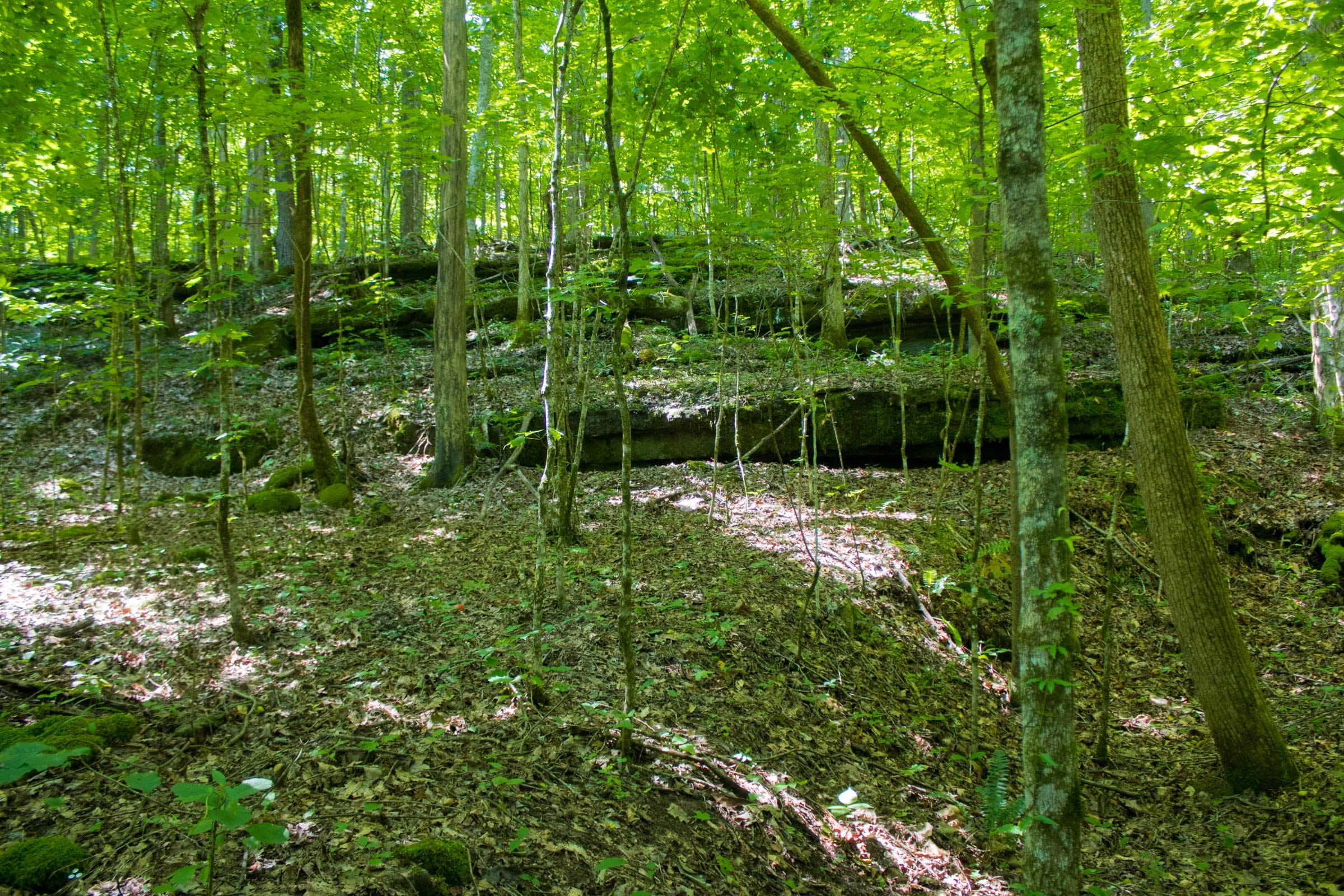 Bluewater Ridge photo 15