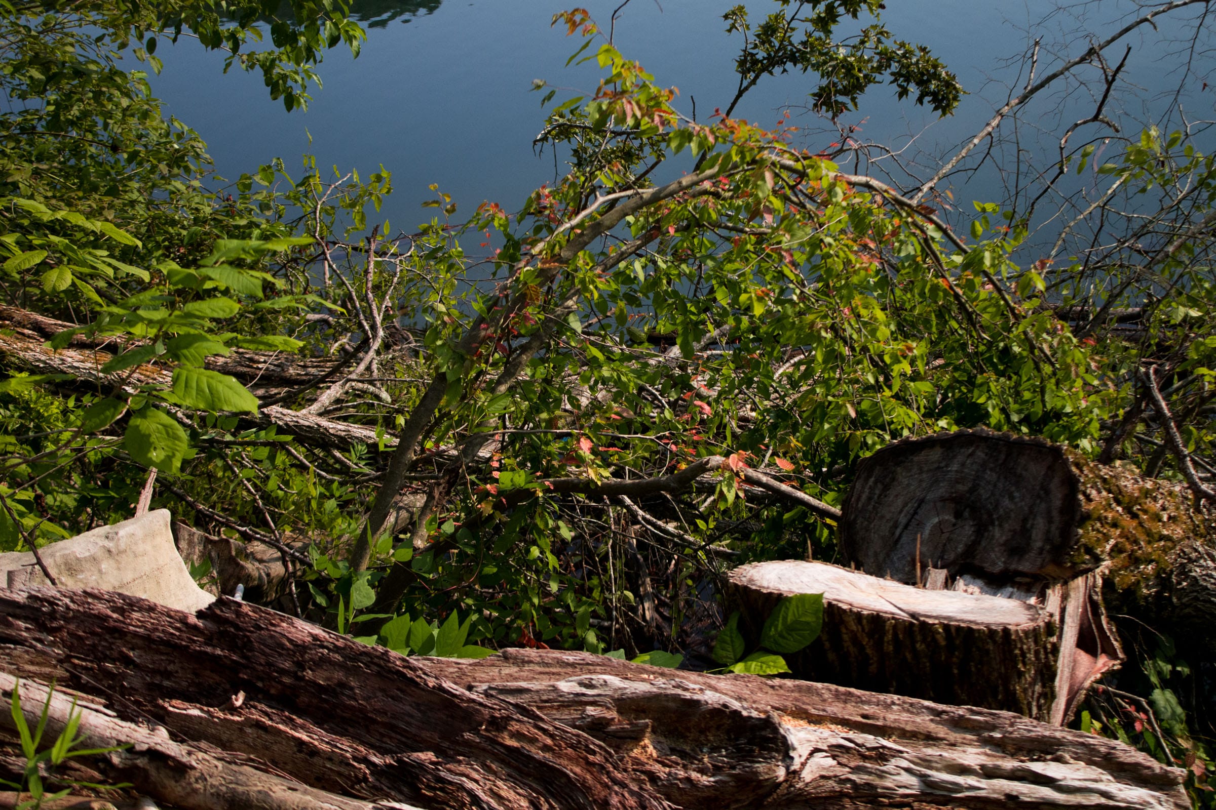 Bluewater Ridge photo 3