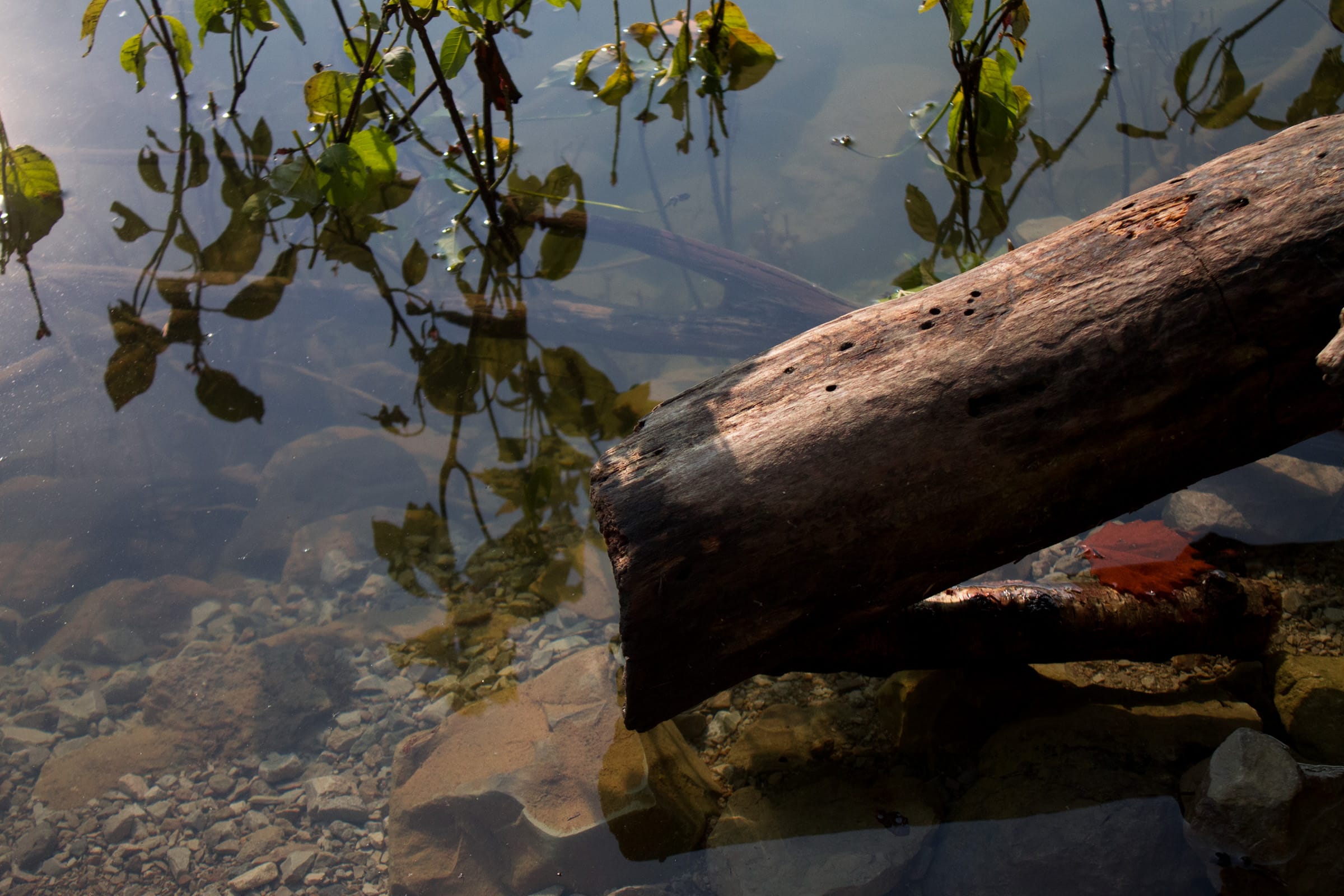 Bluewater Ridge photo 2