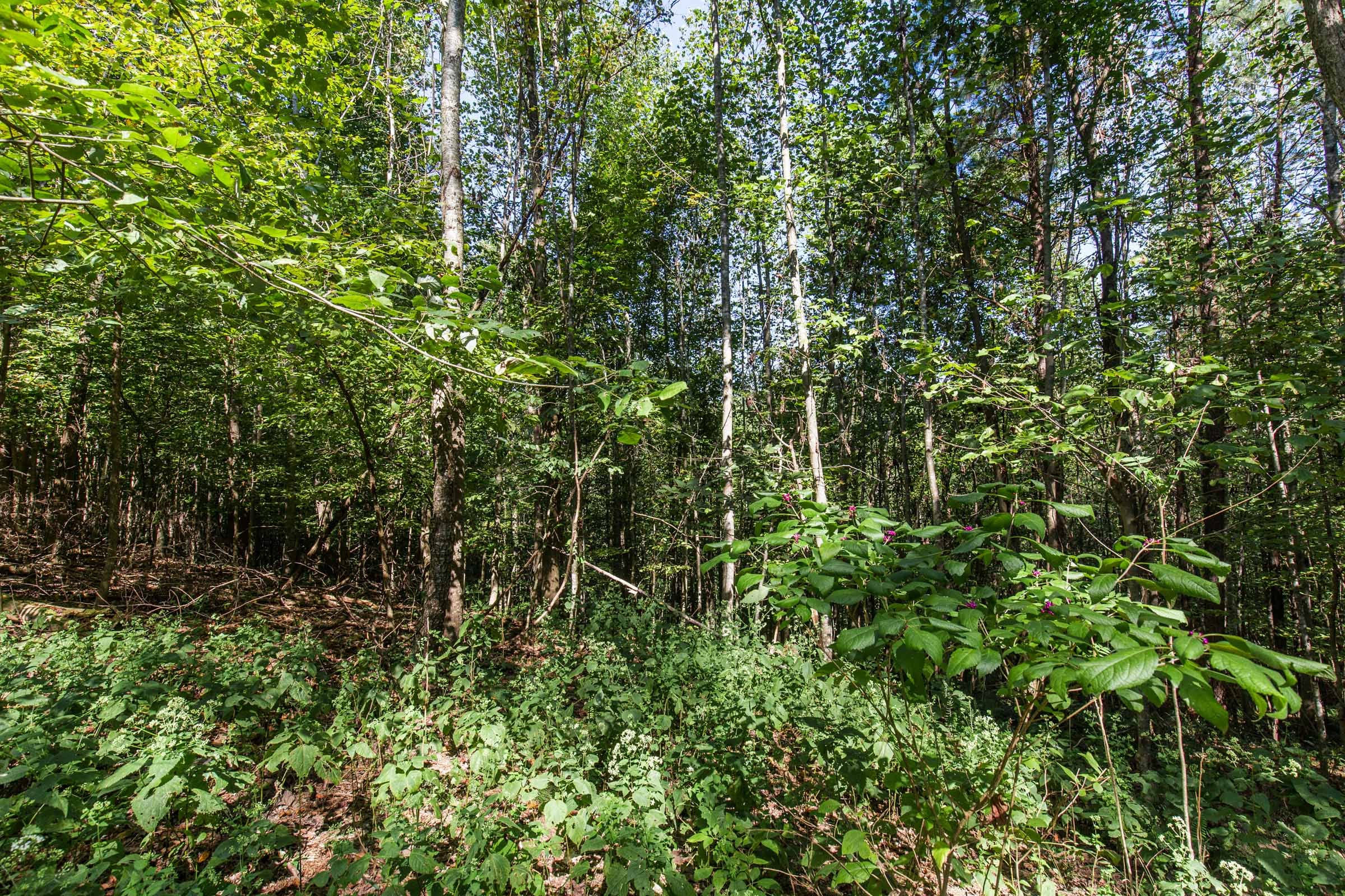 Redemption Ridge photo 3