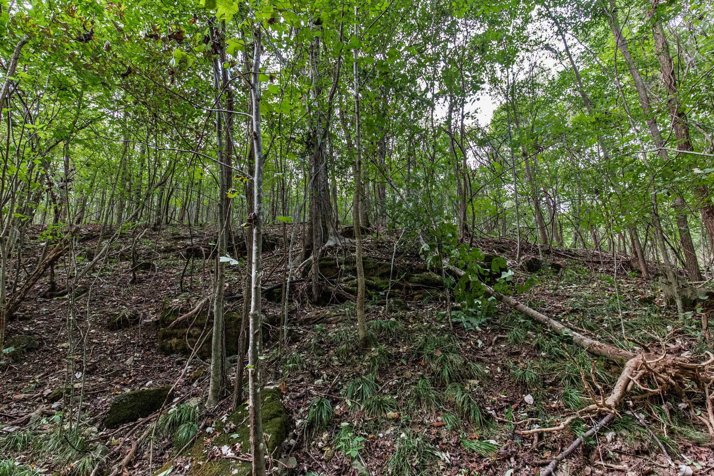 Redemption Ridge photo 18