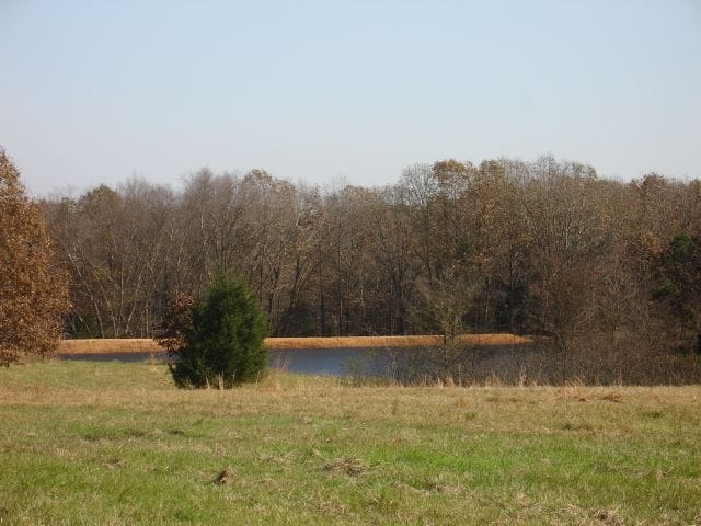 Tranquility Farms photo 5