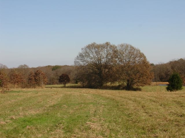 Tranquility Farms photo 4