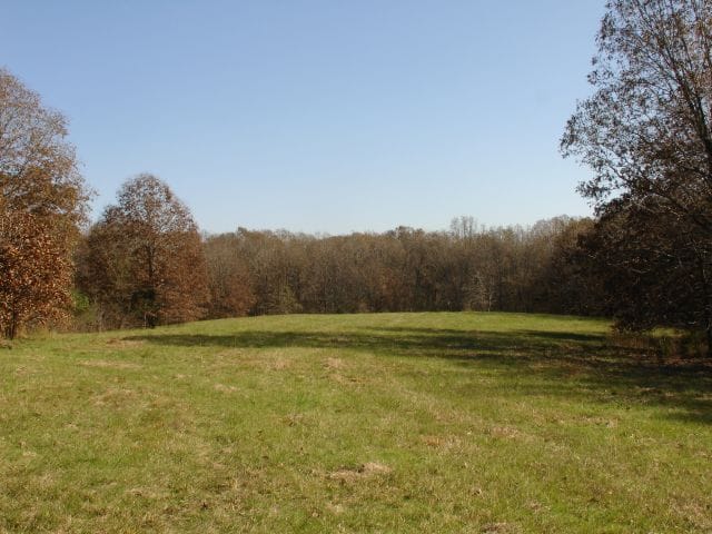 Tranquility Farms photo 9