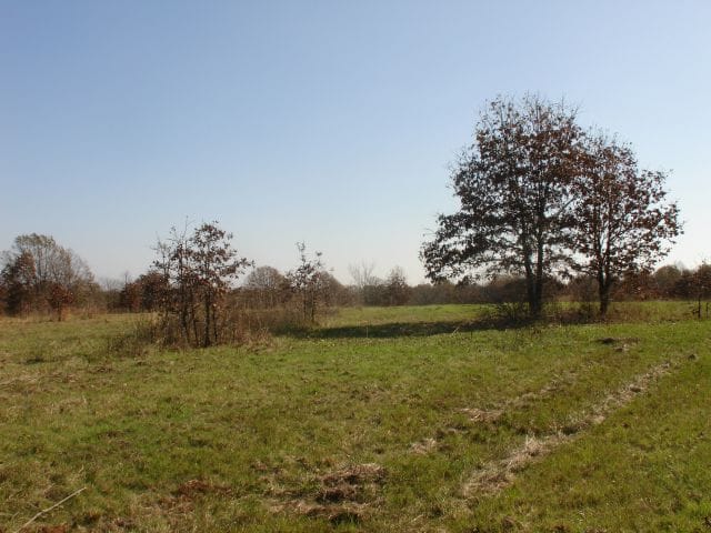 Tranquility Farms photo 3