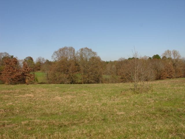 Tranquility Farms photo 6