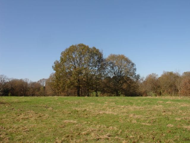 Tranquility Farms photo 10