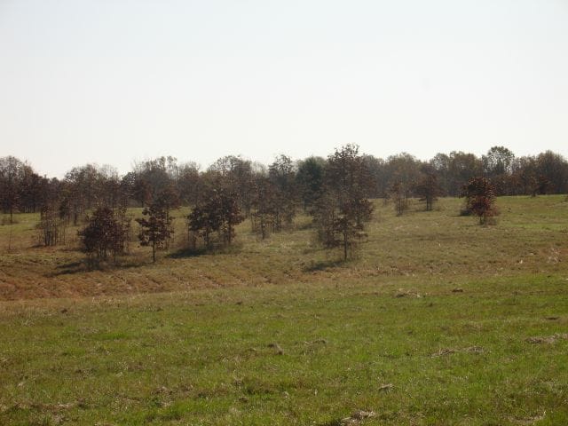 Tranquility Farms photo 2