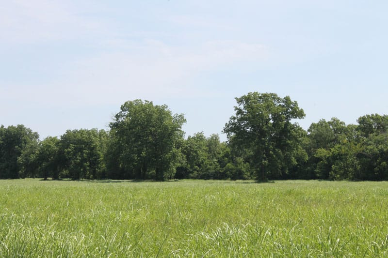 McCoy Creek Ranch photo 5