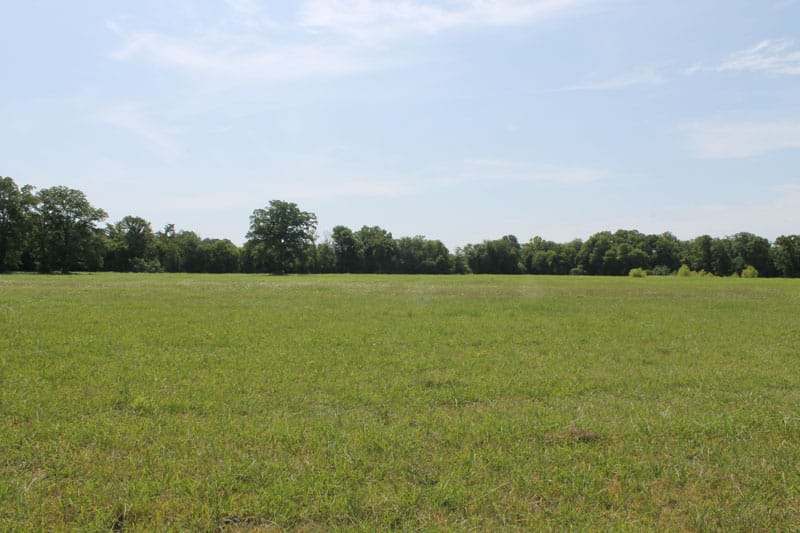 McCoy Creek Ranch photo 1