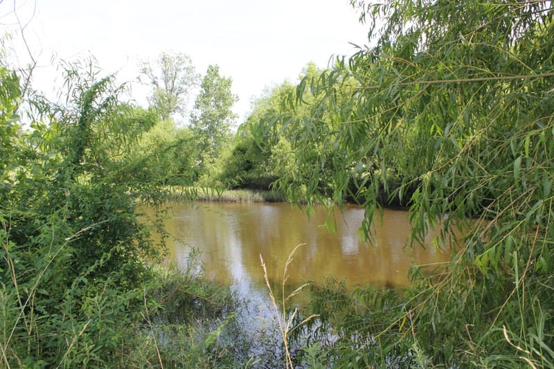 McCoy Creek Ranch photo 6