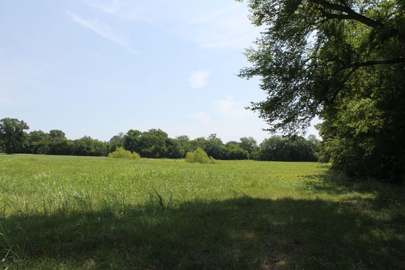 McCoy Creek Ranch photo 4