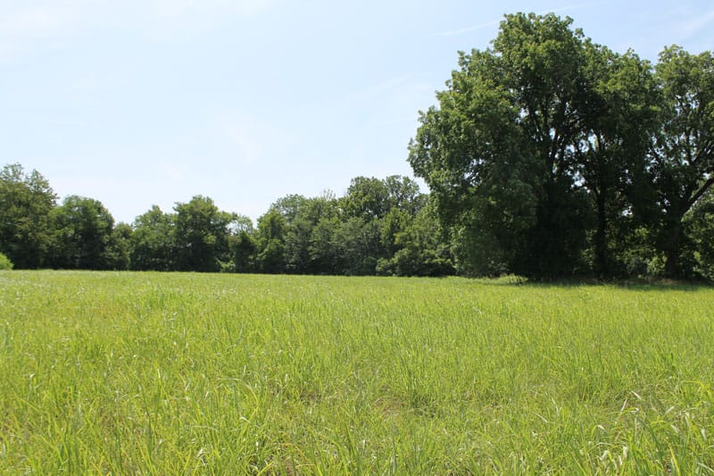McCoy Creek Ranch photo 7