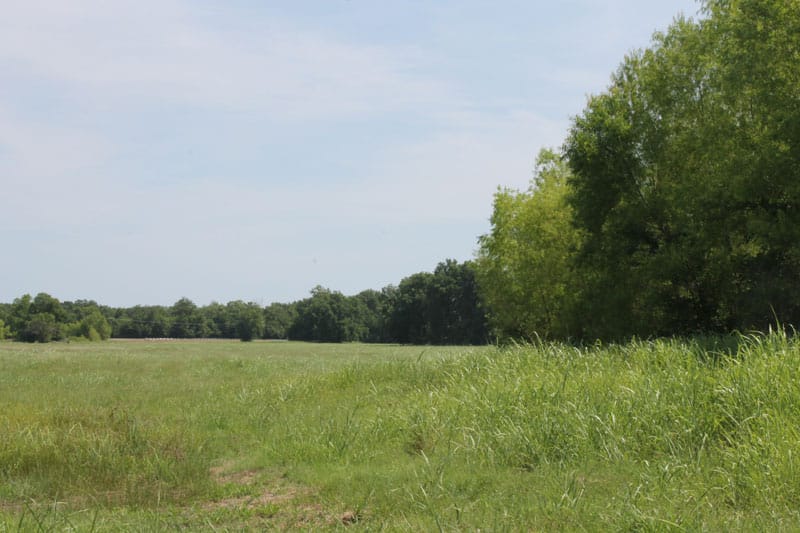 McCoy Creek Ranch photo 3
