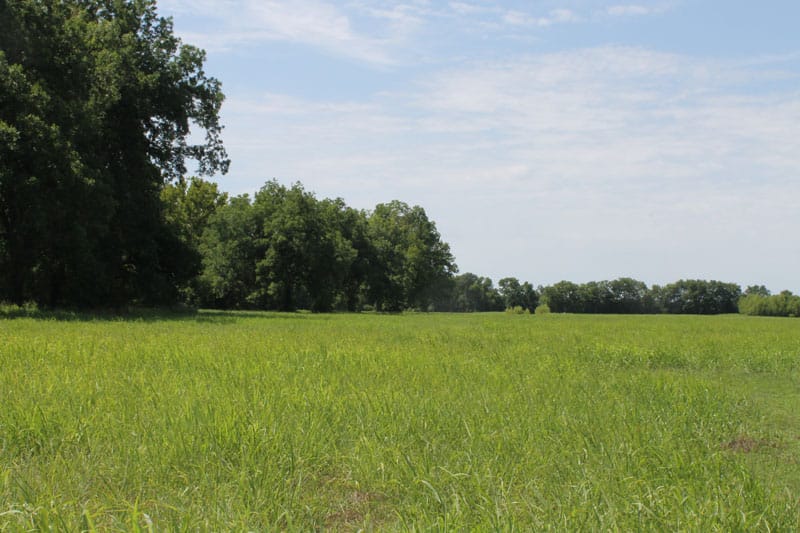 McCoy Creek Ranch photo 9
