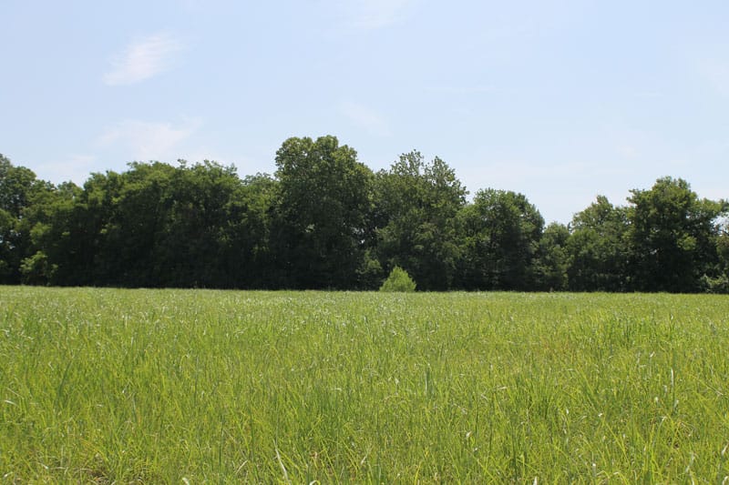 McCoy Creek Ranch photo 8