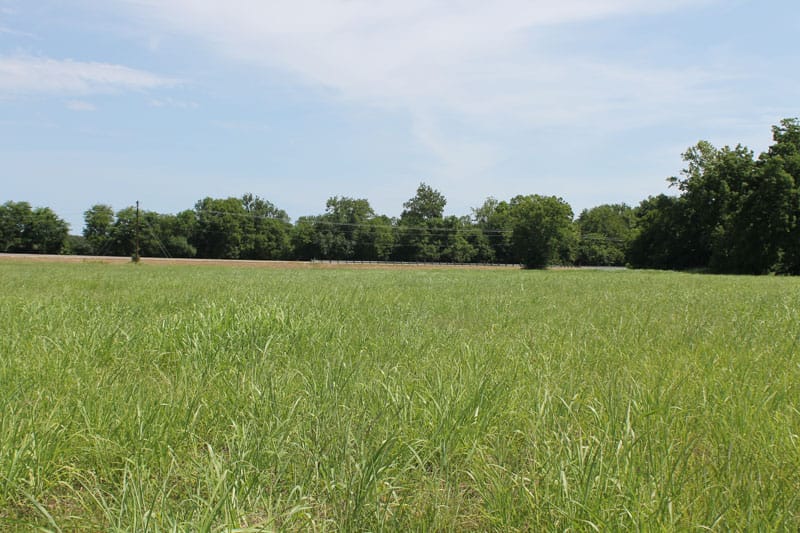 McCoy Creek Ranch photo 10