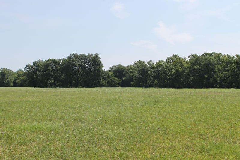McCoy Creek Ranch photo 2