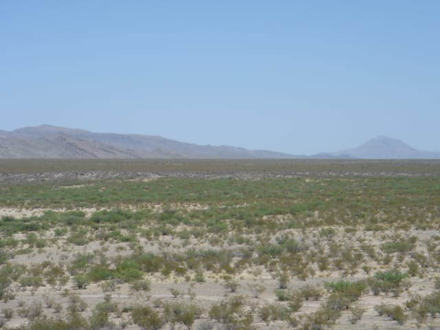 El Paso Ranches photo 9