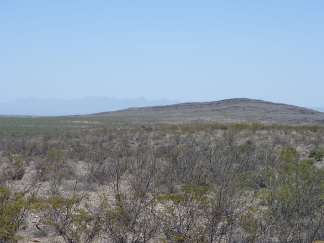 El Paso Ranches photo 1