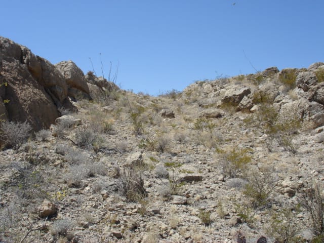 El Paso Ranches photo 10