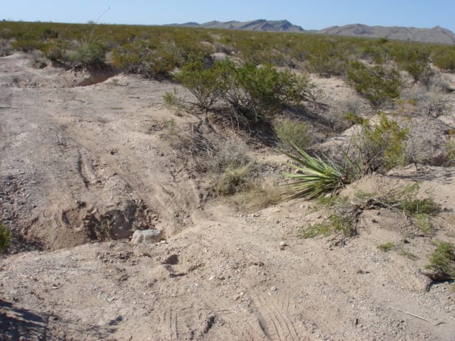 El Paso Ranches photo 14
