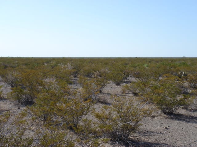 El Paso Ranches photo 17