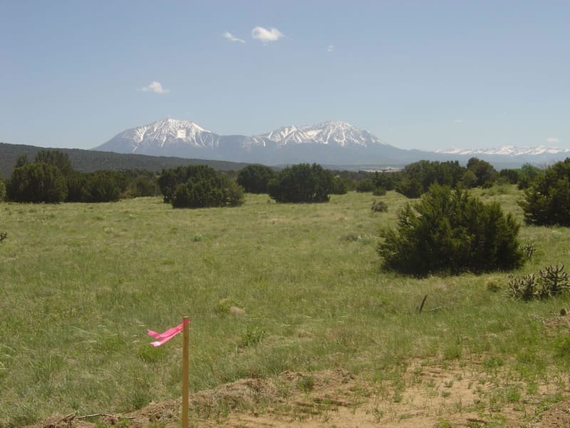 Black Diamond Park photo 6