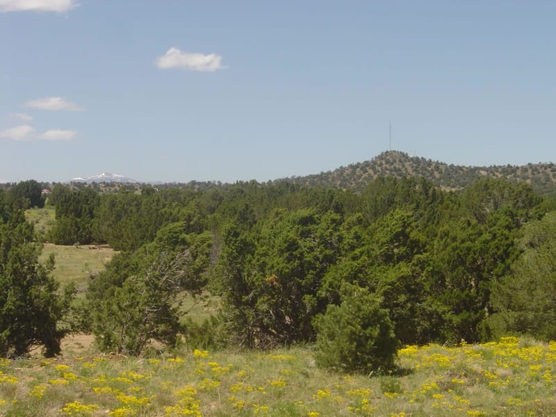 Black Diamond Park photo 5