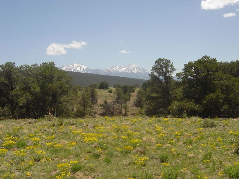 Black Diamond Park photo 3