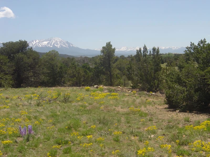 Black Diamond Park photo 4