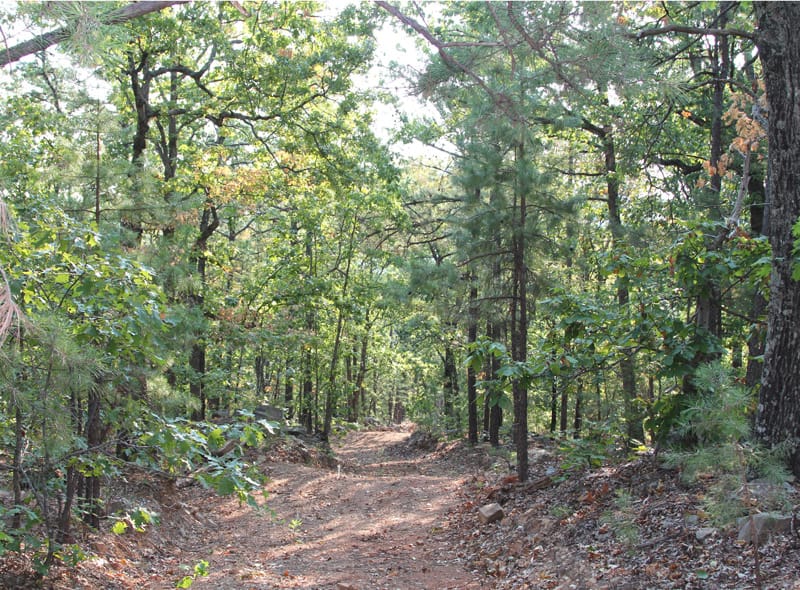 Trophy Ridge Phase II photo 4