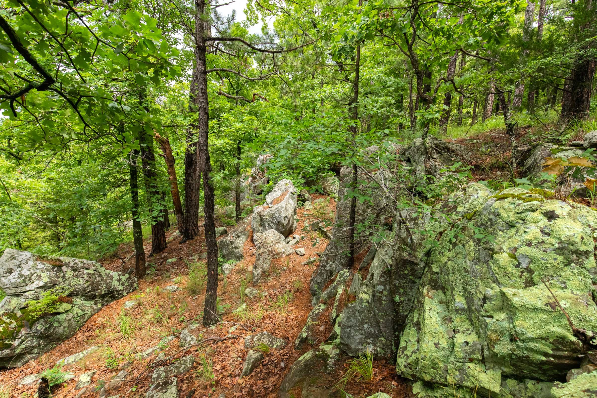 Stone Bridge Phase VI photo 14