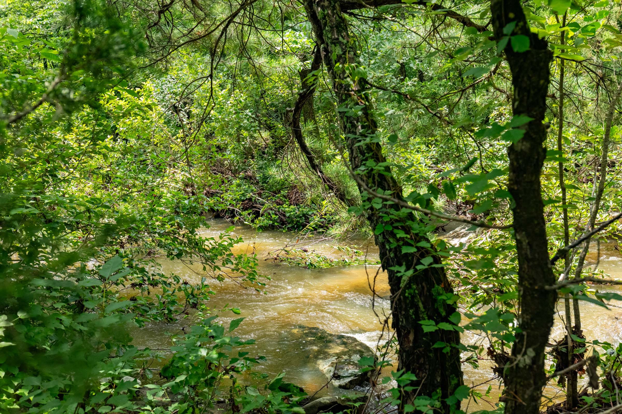 Stone Bridge Phase VI photo 15