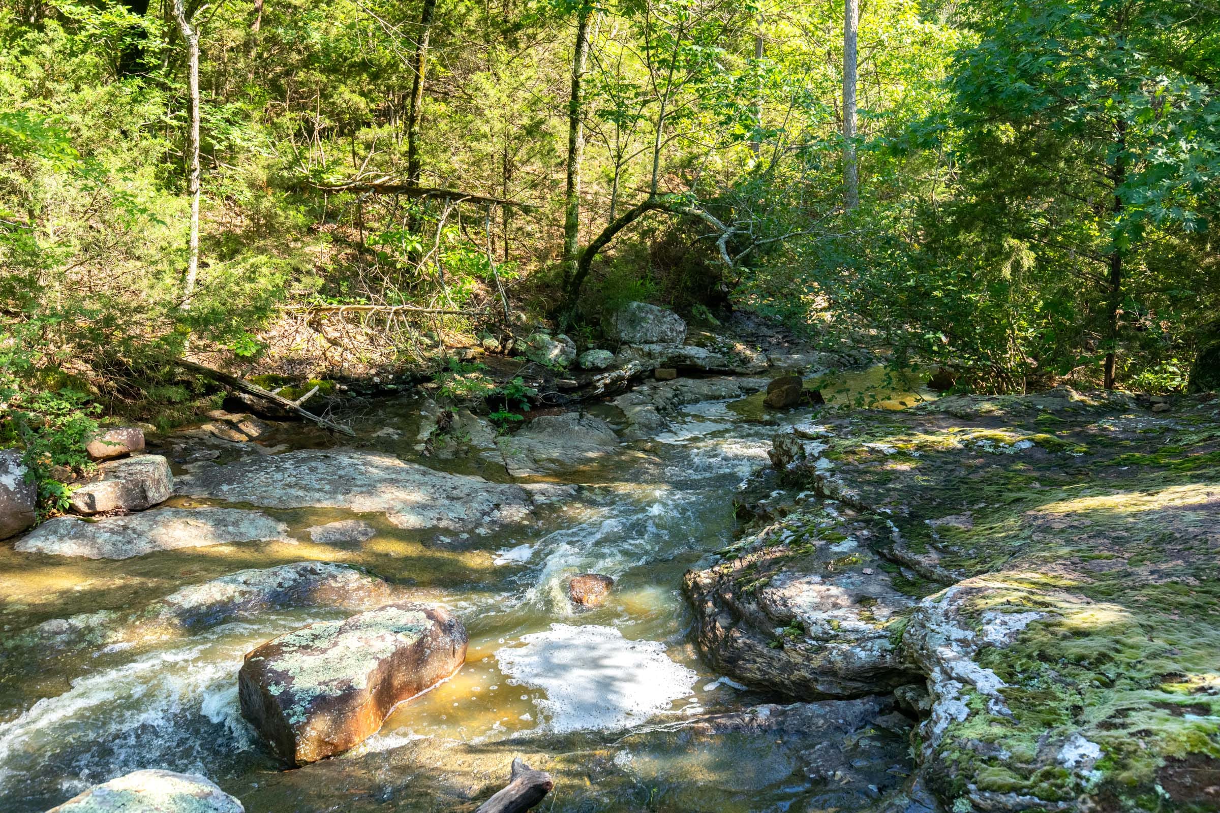 Stone Bridge Phase VI photo 2