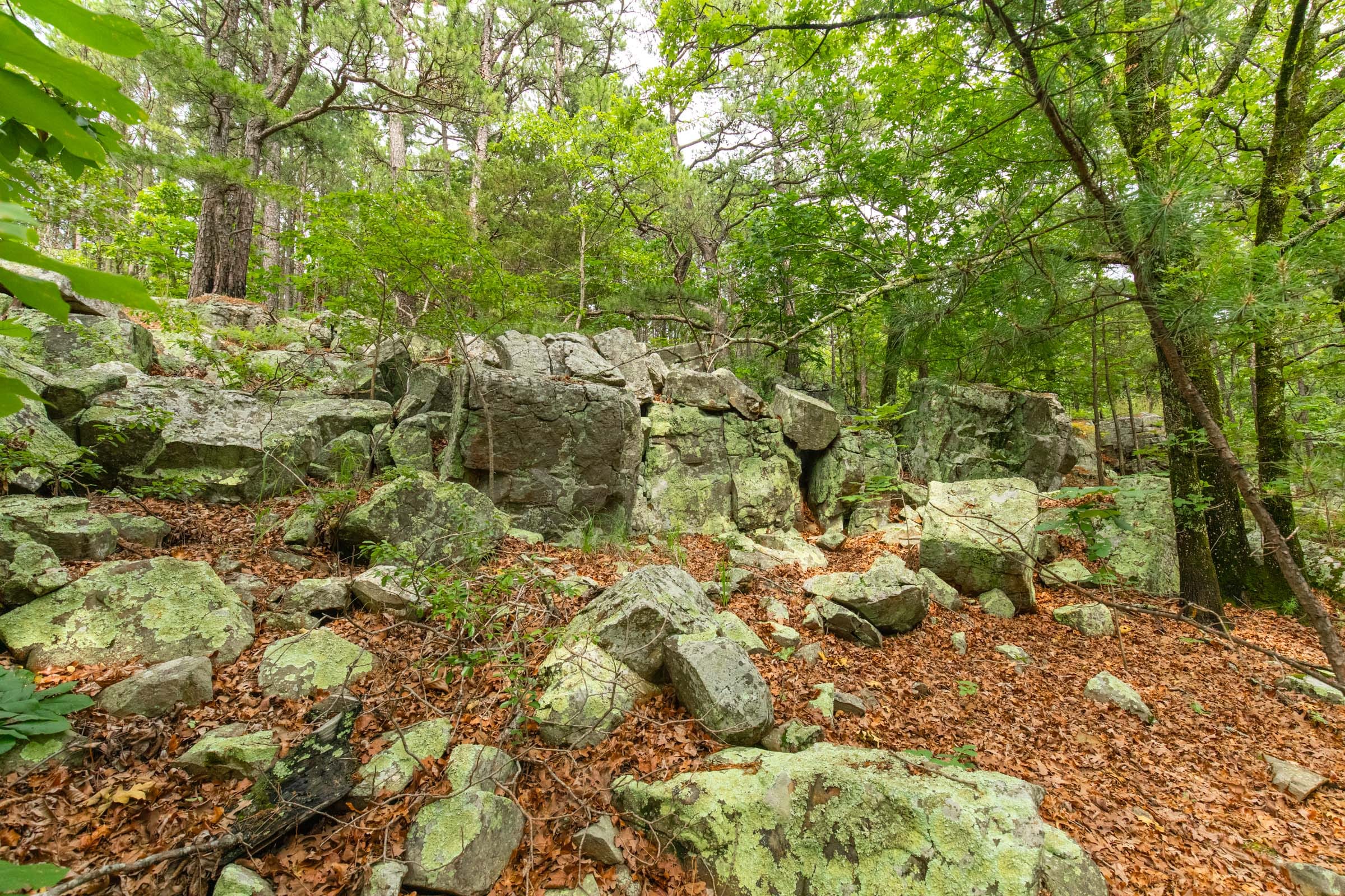 Stone Bridge Phase VI photo 4