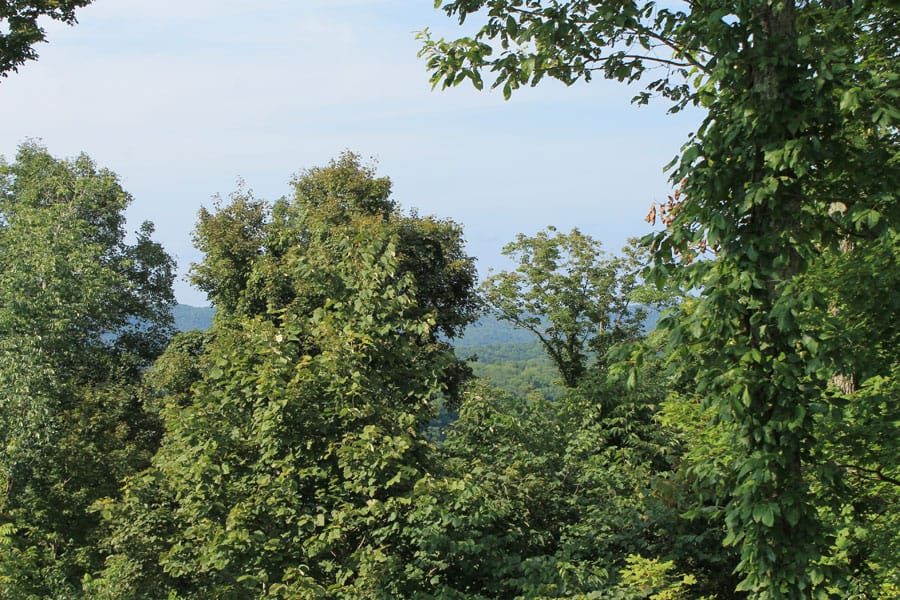 Cumberland Ridge Ranch photo 15