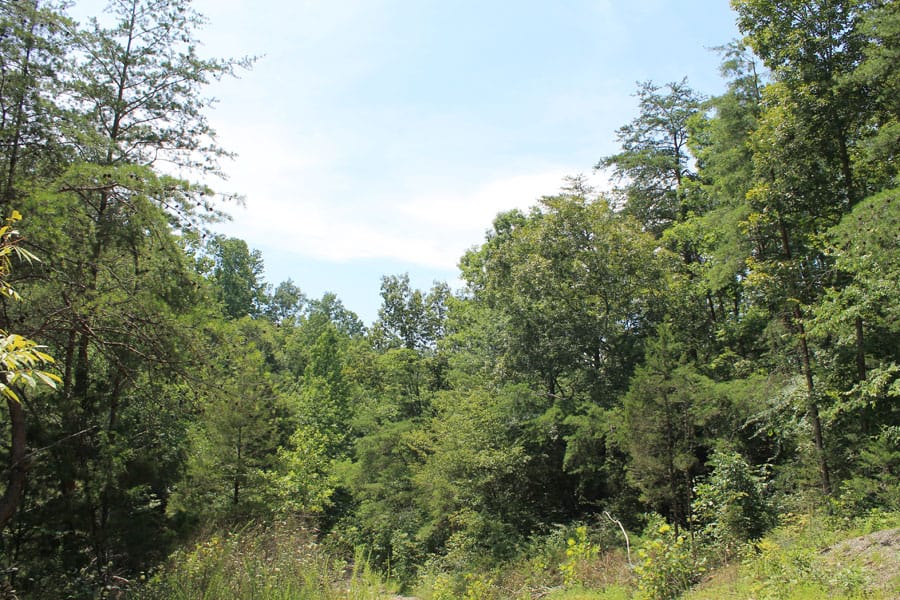 Cumberland Ridge Ranch photo 4
