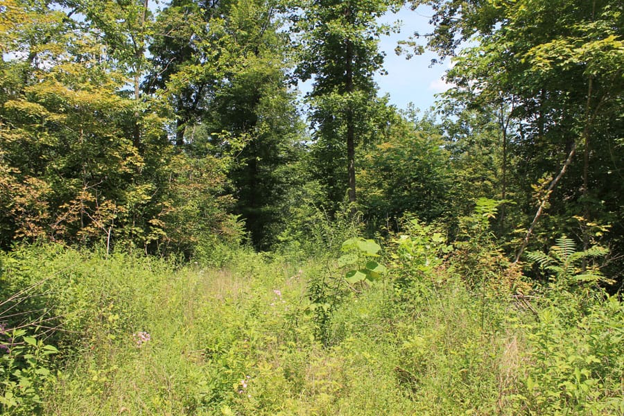 Cumberland Ridge Ranch photo 1