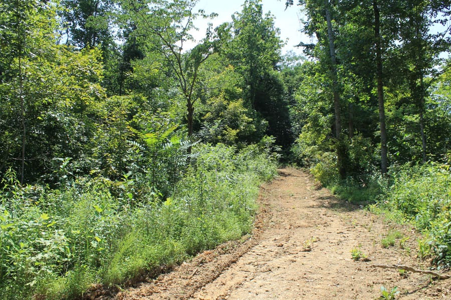 Cumberland Ridge Ranch photo 2