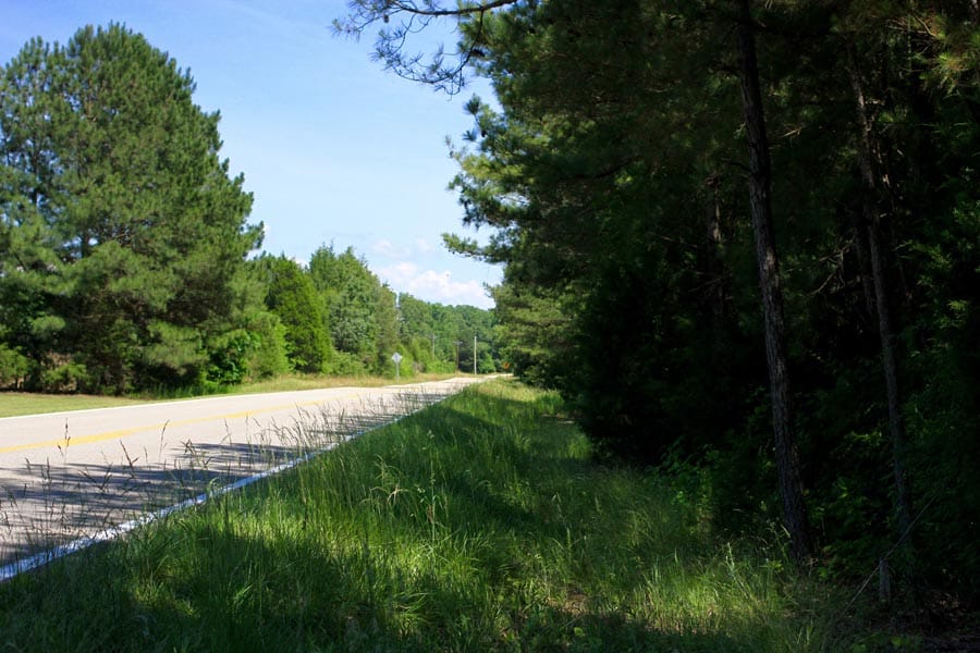 Hickory Hill Ranch photo 6
